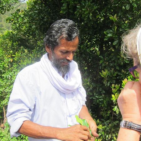 The Eco Hotel Varkala Buitenkant foto