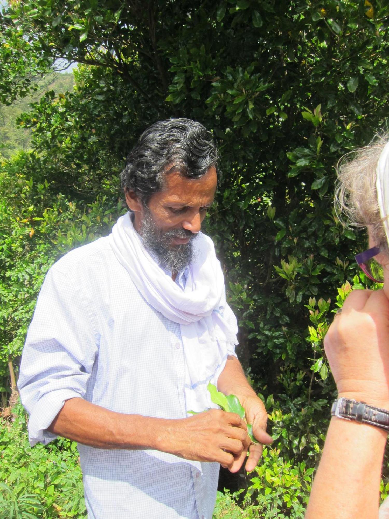 The Eco Hotel Varkala Buitenkant foto